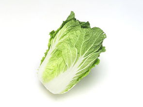 虎門(mén)酒店蔬菜配送與內(nèi)陸水產(chǎn)養(yǎng)殖銷售——專業(yè)周到的食材供應(yīng)解決方案