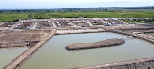 碧水映青山 魚躍產業興——內陸水產養殖開辟致富新路徑